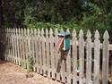 Birdhouse On Fence