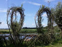 Willow Fence