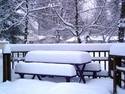 Snow Covered Table