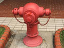 Atypical Hydrant