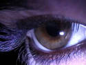 Seeing Eye