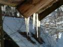 Icicles Dangling