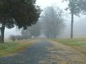Foggy Roadway