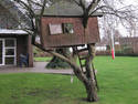 Rough Treehouse