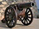 Cannon