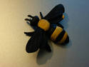 Dark Bumblebee