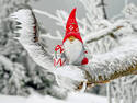 Little Santa