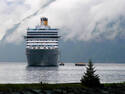 Cruise