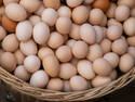 All Eggs in One Basket