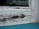 Rotted Window Frame