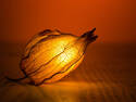 Glowing Leaf, 10 entries