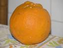 Giant Orange