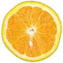 Mmmm An Orange!