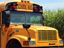 Yellow School Bus, 5 entries