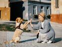 High Five