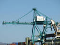 Dock Yard Crane