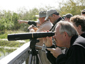 Bird Watchers, 7 entries