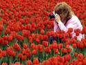 Flower Photographer