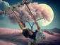 Moonlight swing