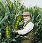  Hybrid Corn