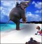 Elephants and beaches
