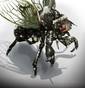 Alien Cicada(UPDT)