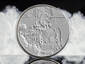 Silver Coin