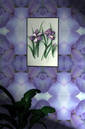 purple iris kit