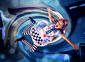 Alice Down Rabbit Hole 