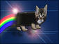 Nyan Cat Binder
