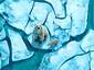 Ice Floes, 7 votes