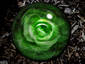  ~ Green Orb ~