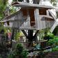Rustic Treehouse