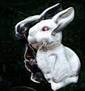 Advanced rabbit