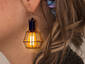 Fancy Earrings?
