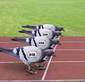 Pigeon Race