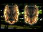 Insectoid Tribal Masks