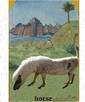 Medieval Pony