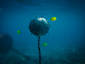 Underwater Bomb