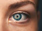 Eye Spy