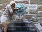 Fountain of youth