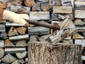 inexperienced lumberjack