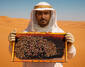 Beekeeper of Arabia