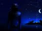 Bluemaid(dark image)