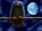 ~ Blue moon bird ~