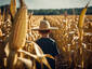 Behind The Rows