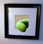 Worm In a Frame