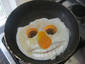 Egg in your face