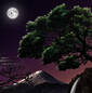Tree at Sunset