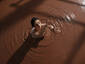 Quick Chocolate